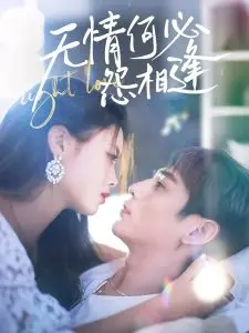 无情何必怨相逢:宿命纠葛与情感救赎的凄美爱情