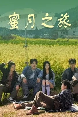 《蜜月之旅》:浪漫与冲突交织的爱情启示录