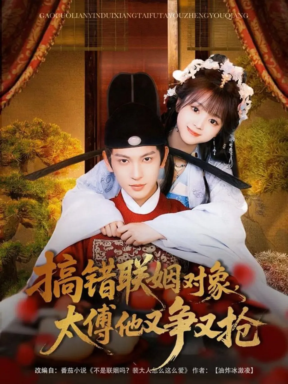 误入婚姻迷局:太傅的激烈争夺与命运转折