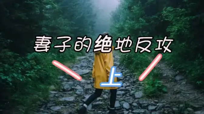 《妻子的绝地反攻》：当婚姻跌入谷底，看她如何上演惊天逆转，赢回尊严与幸福！